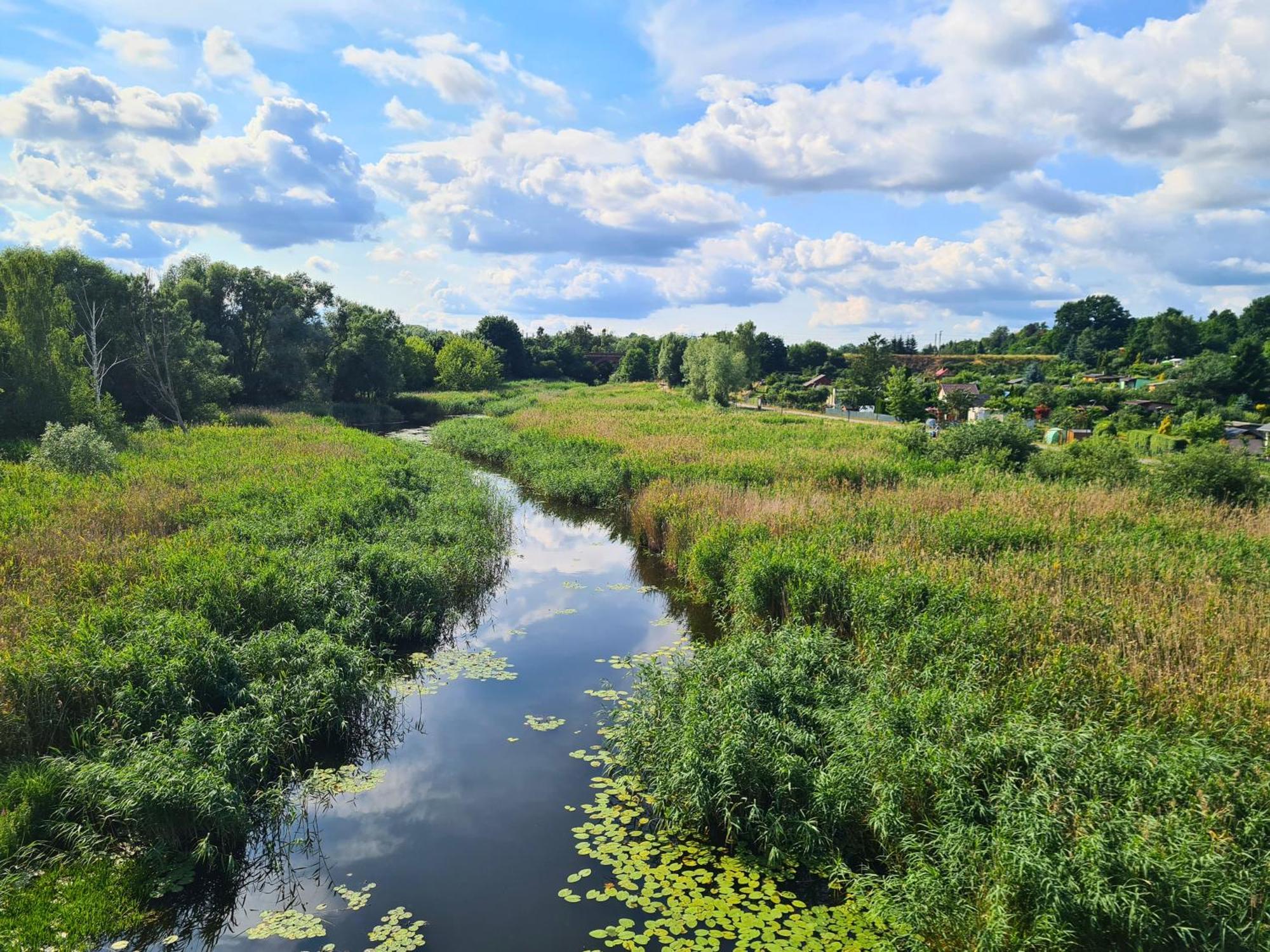 Przystan Natura Iława Exterior foto